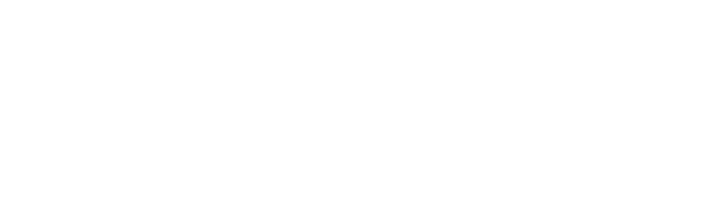 Artnet-Logo-white
