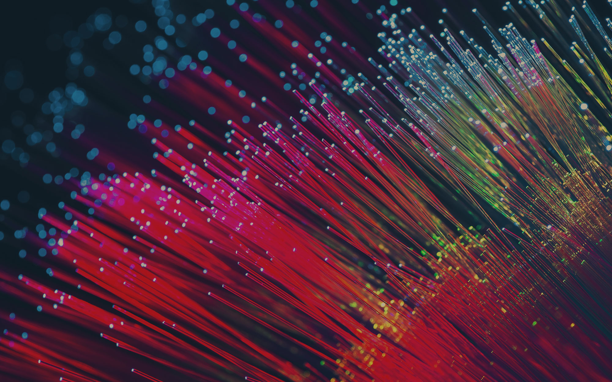 Fiber-light